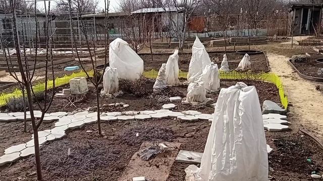 Пришла весна, весне дорогу !12.03.2025.
Хроника.