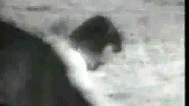 Масутацу Ояма борется с быком[HD 480x360 MPEG4] 00_00_00-00_00_32 [HD 480x360 MPEG4]