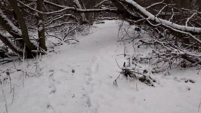 Всё лучшее для  ельчан. Благоустройство убитого города