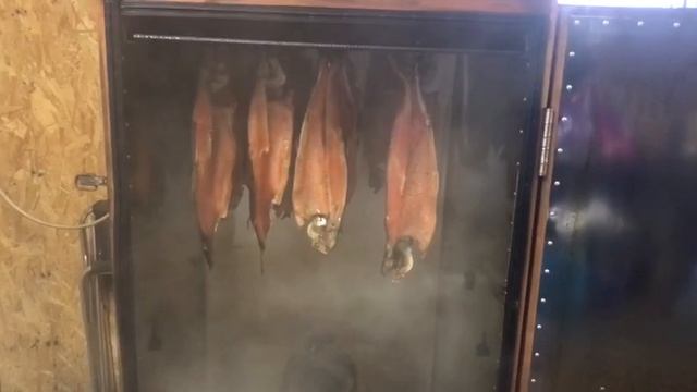 форель холодного копчения