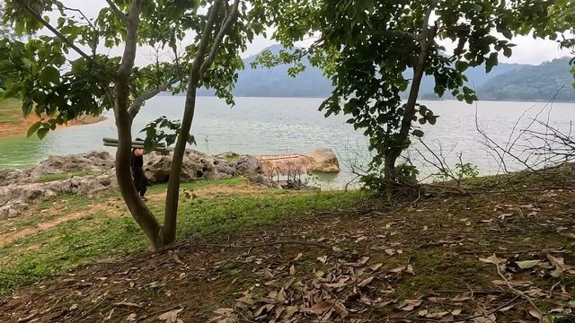 Solo Bushcaft: Completed Bushcaft house on the water. Catch wild snails and sleep overnight.