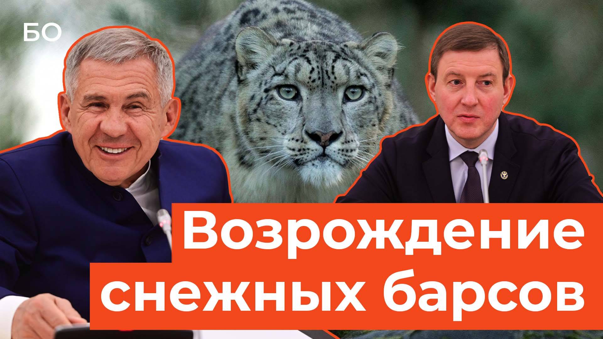 Минниханову подарили снежного барса. Когда вернутся ирбисы в Татарстан?