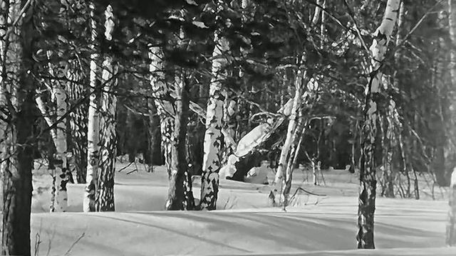 1977 год. Тобольск. Совещание коммунальщиков