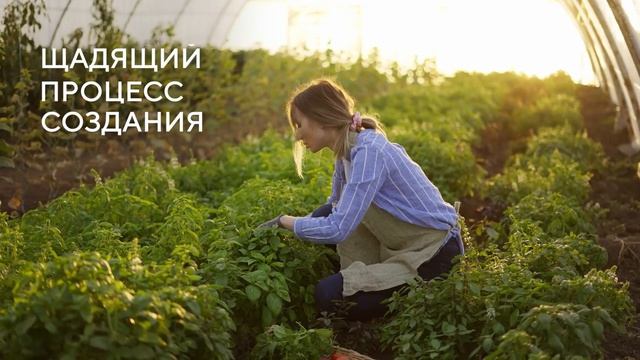 T8 TEO GREEN - смузи с клетчаткой