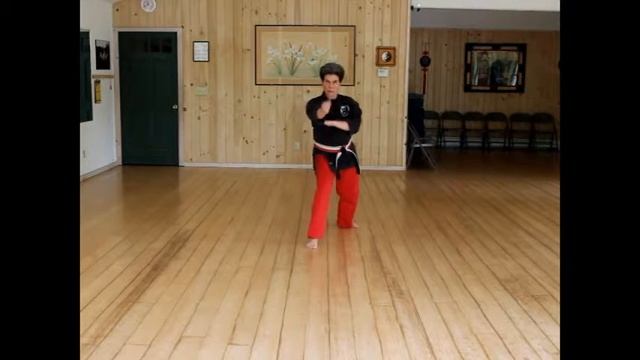 Pinan Sandan Kata - Bushido Karate Dojo