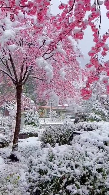 красота😍