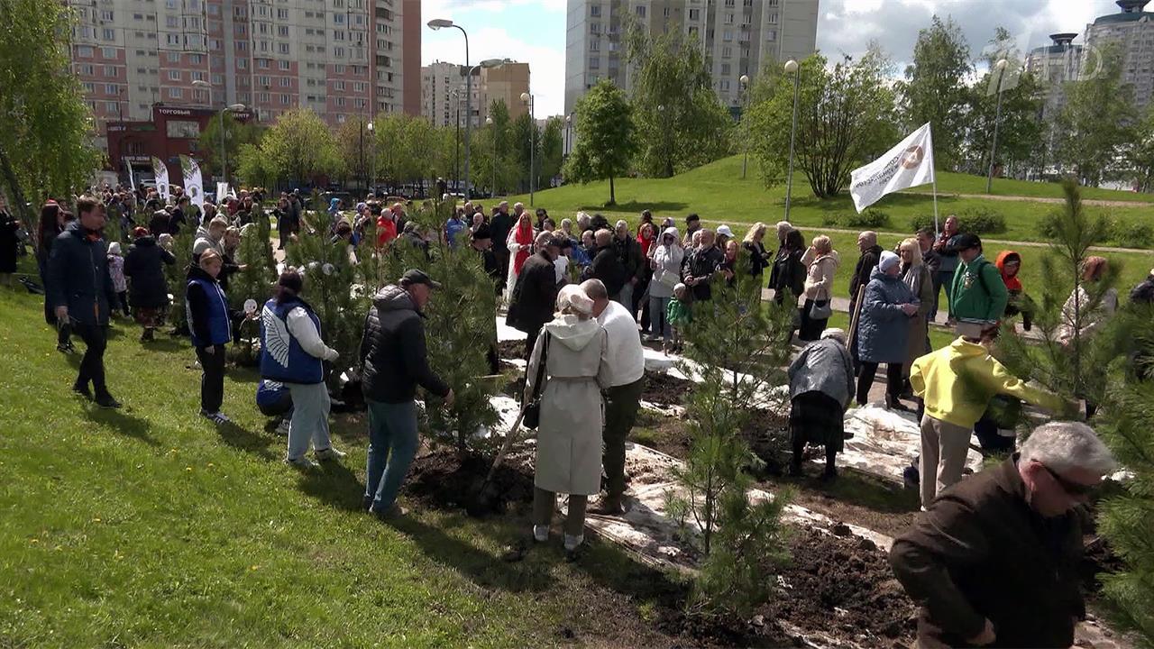 В Москве обсудили предстоящую акцию "Сад памяти"