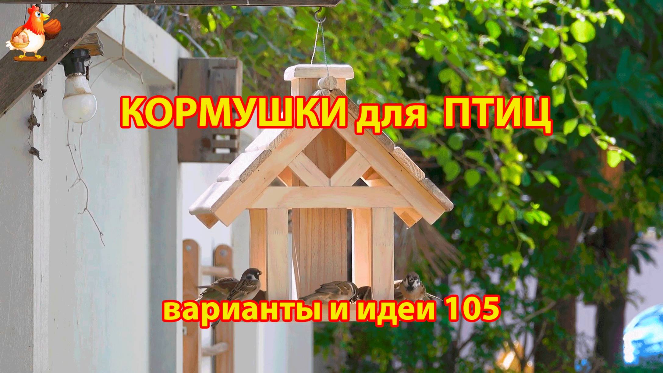 Кормушка для птиц своими руками как сделать пошагово  (105) 🪚🪛🔨 Идеи для дачи и сада❣️