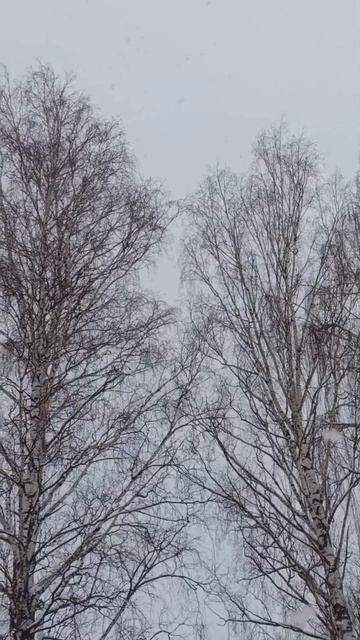 снег
