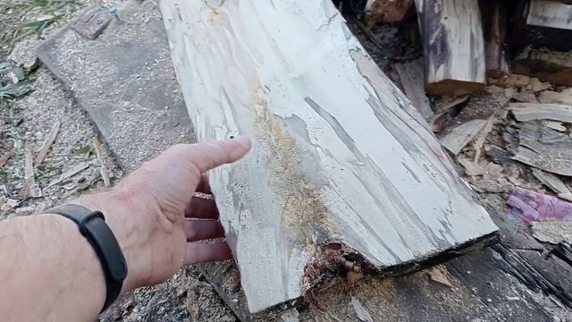 Cтрожка шпальта Часть 2. Как сильно коробит древесину при сушке?