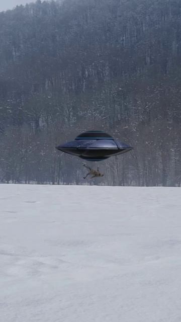 UFO dragged a friend into the forest #ufos #aliens #video