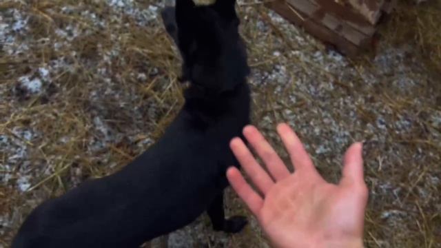 VID-20250313-WA0014