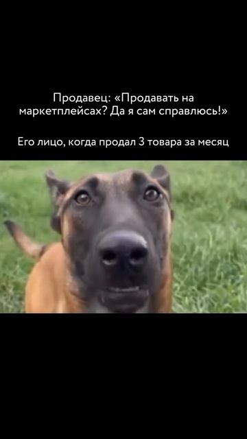 Маркетплейсы: реальность vs. ожидания!
