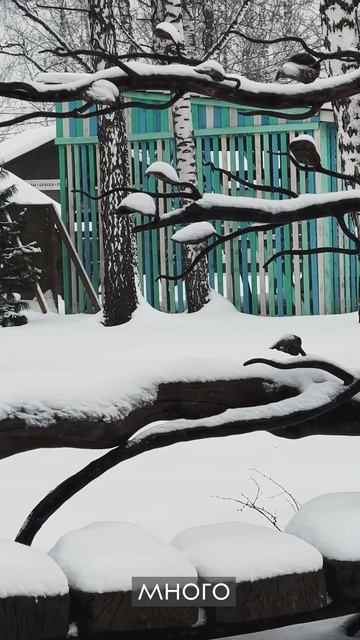 Сколько фигур в парке «Околица»? Общение с местными.mp4