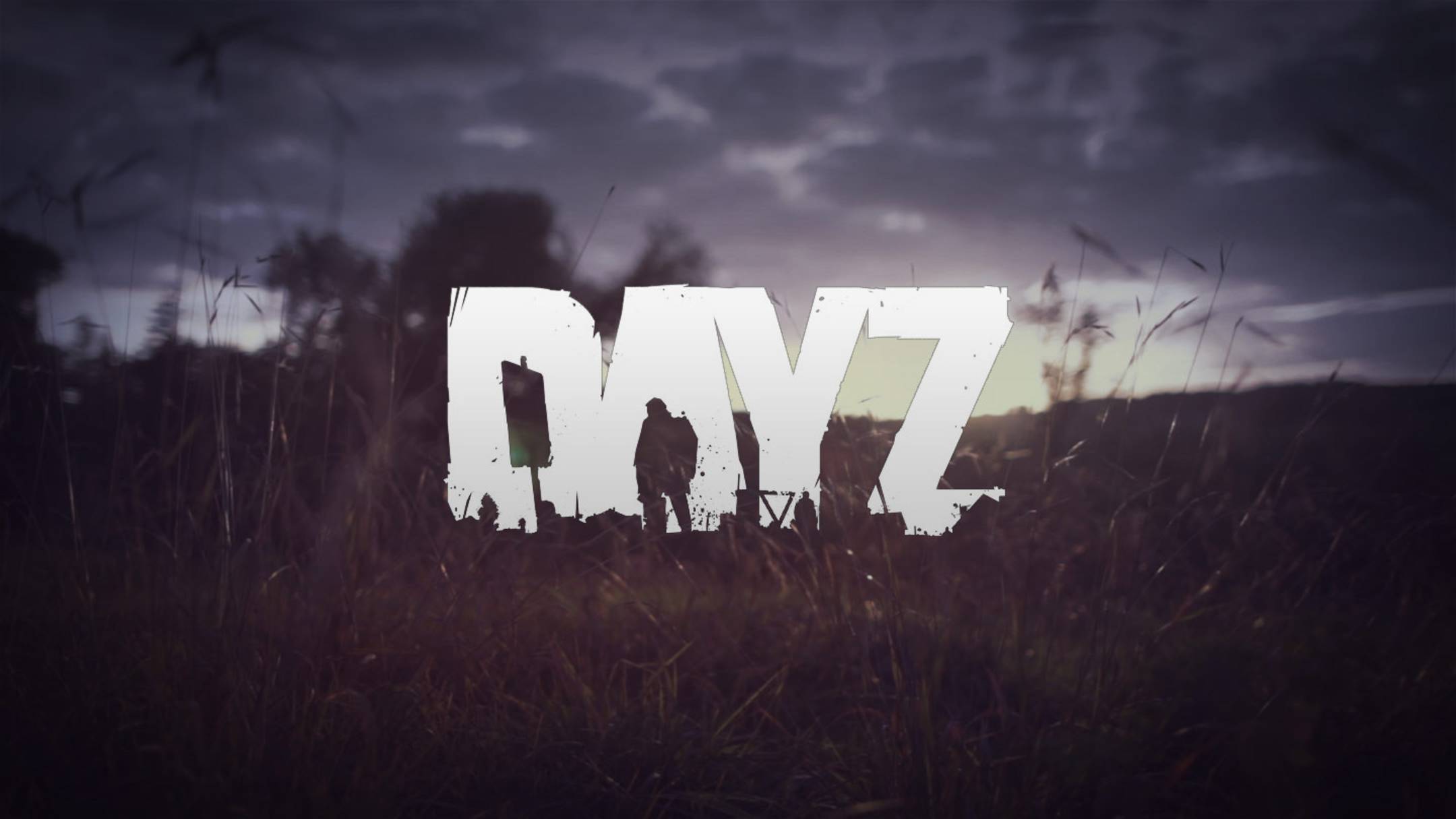 DayzLand
6 SERVER