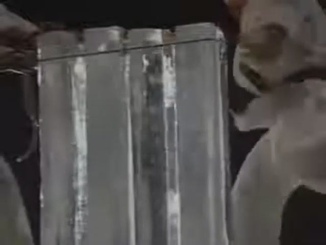 Kyokushin Karate Bible HD wmv