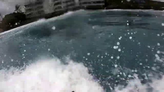 Banyan's surf