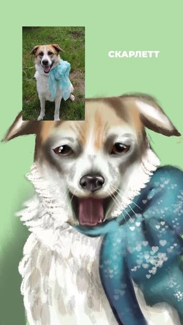 Купили рисунки собак из приюта у ребенка🐶