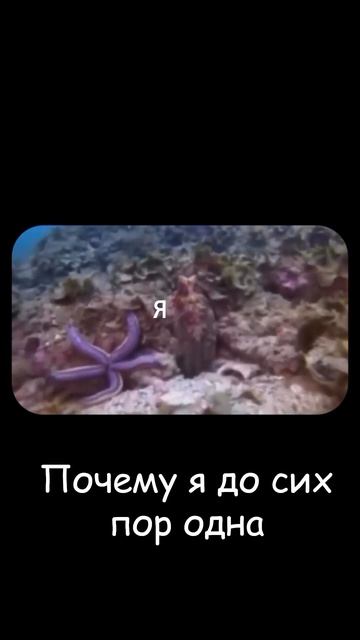 Одинокий одиночка
