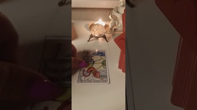 Обзор колоды Tarot Cats от Ana Juan.Что случится на личном фронте до конца мая?🧐😎💜8988 5475149Ватса