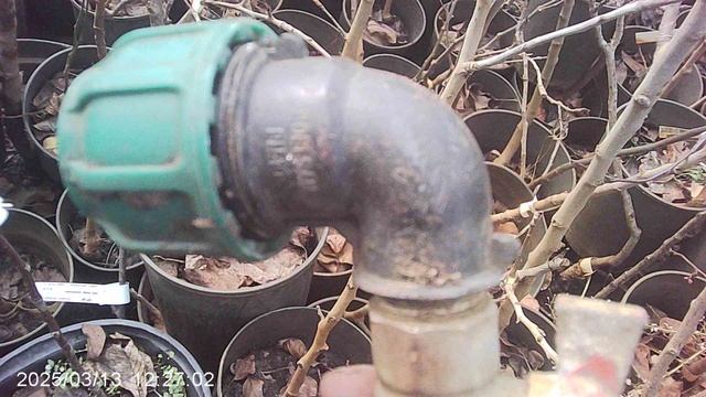 Извлёк с зимнего хранения поливной кран со шлангом. Несу его на установку.