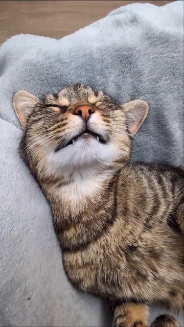 😂♥️😂