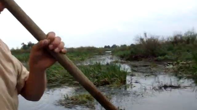 Ольшаны путь на Припять.