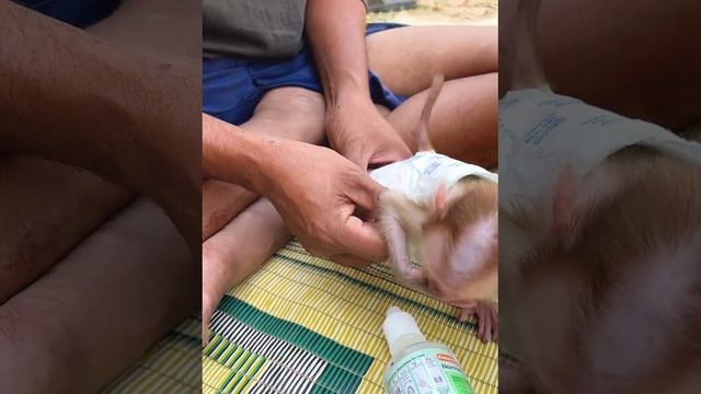 Совсем маленький.😂🤗❤️