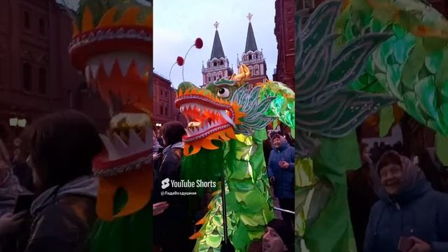 Змеюка симпатичный  1.02.2025