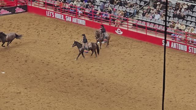 как выглядит родео в Техасе 🐎🐑🐃