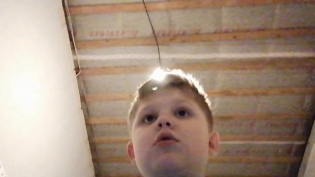 Гусь скример люсик с гусём