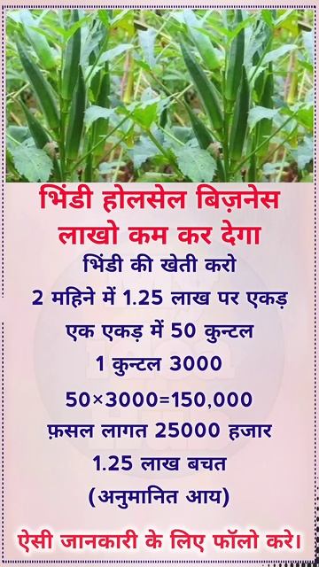 मैंने #भिंडी की #खेती कर 2 महीने में कमाया 5 लाख रुपए #बिजनेस    #lady_finger #business #shorts