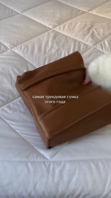 Артикул сумки на WB: 243805505