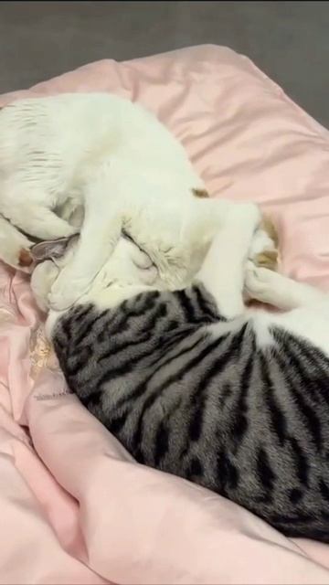 1000076723.mp4