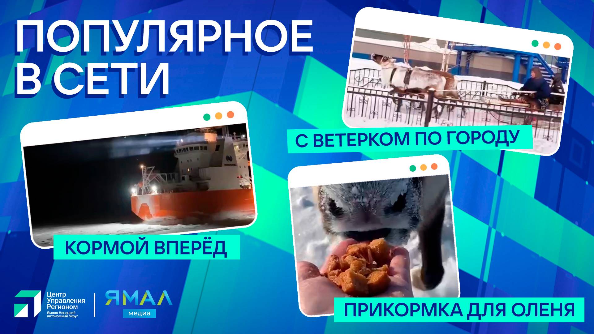 "Ямал-Медиа" продолжает обозревать популярные видео в интернете
