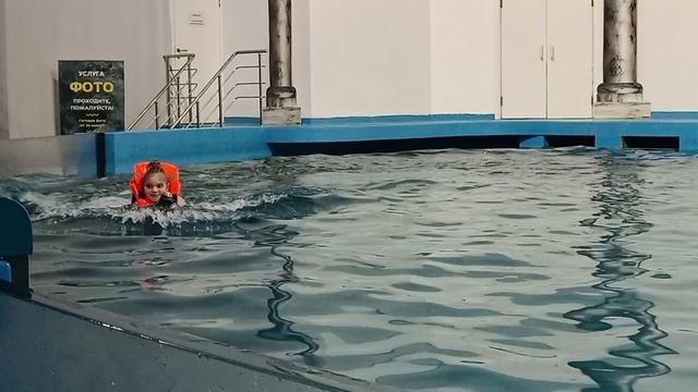 Встреча с Дельфином.