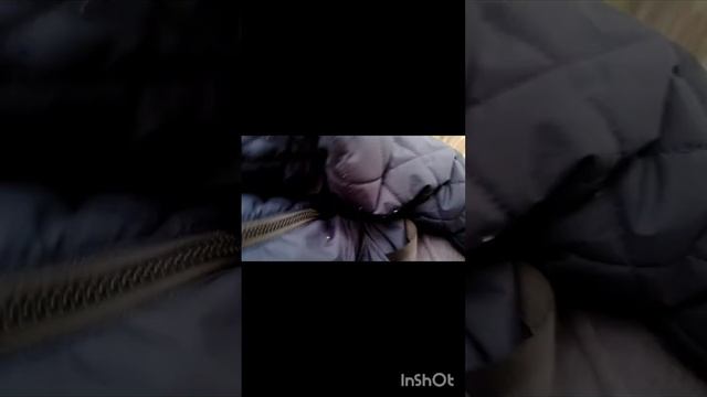 "Чудные" ПРИШЕЛ В ЛЕС И ВСТРЕТИЛ ТАМ МАЛЬЧИКА. НО ОН БЫЛ НЕПОНЯТНЫМ