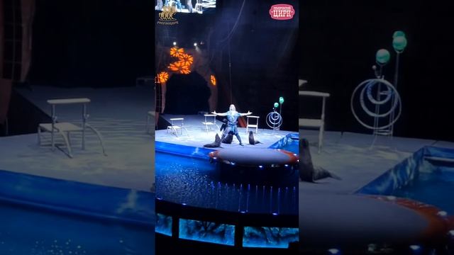 Пресс-конференция в филиале ФКП «Росгосцирк» «Кемеровский государственный цирк»