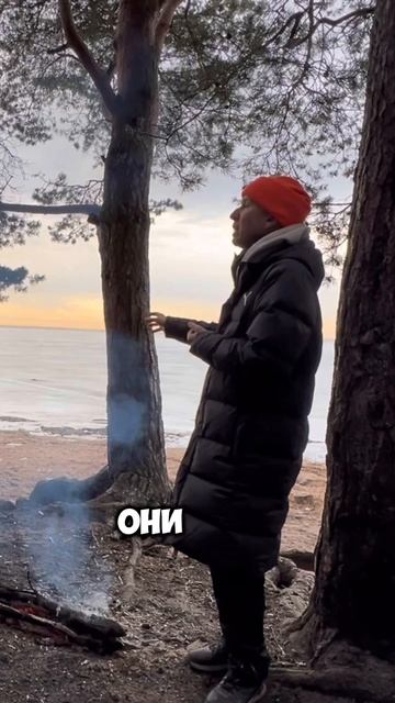 Как не бояться проявлять себя в блогерстве