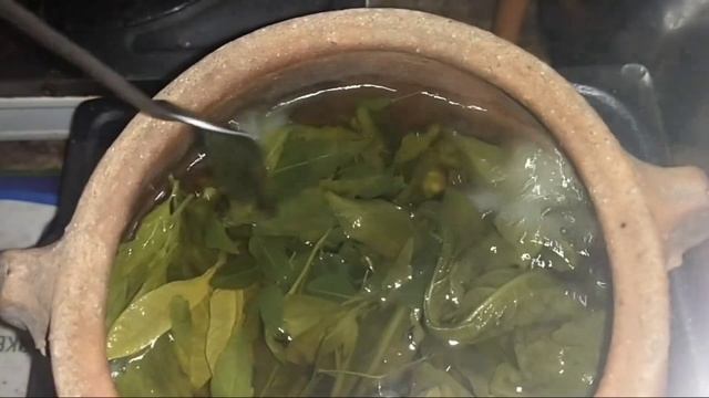 Napakabisang gamot sa sakit sa bato at hirap sa Pag-ihi. Herbal plants are the best.
