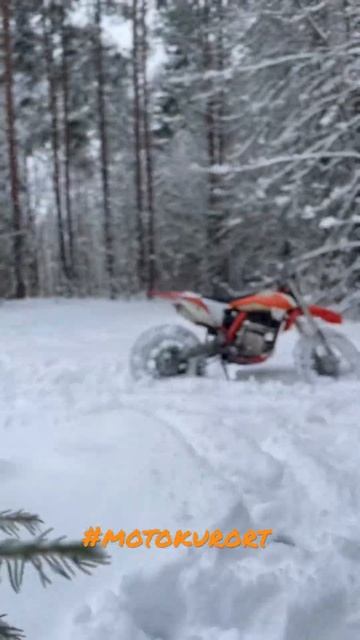 Мото курорт - сезон круглый год! Звони и приезжай!!! Права не нужны. #shorts #bike
