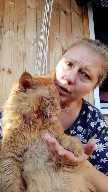 Мейн кун. Кот Джокер. Учим Нотную грамоту. Мы в Тик Токе!