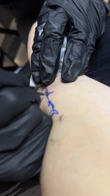 ✨ "Dant gaudea vires" – Радость прибавляет силы ✨