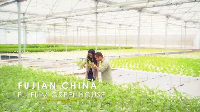 Trinog Greenhouse Project