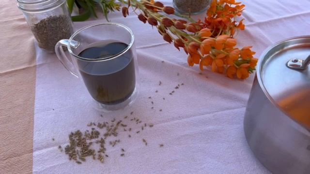 Infusión de balsámita e hinojo 🌿para los nervios.