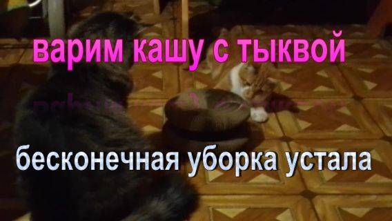 № 887  варим кашу с тыквой // бесконечная уборка  устала!