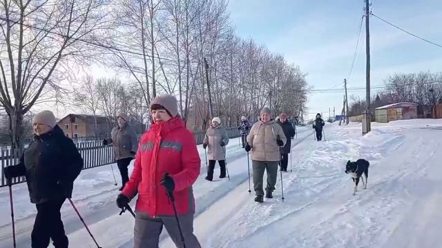 Турналы
