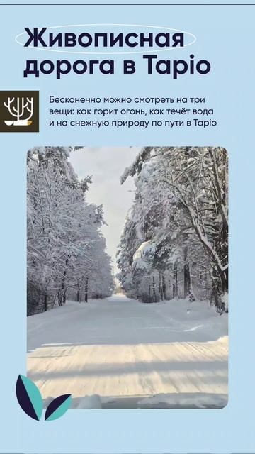 #Дорога в Тапио