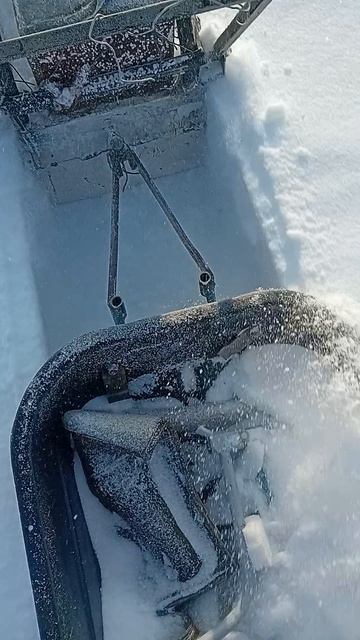 самодельная мотособака тест драйв вариатор сафари