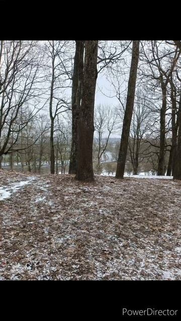 Верхний парк Красное село СПб
